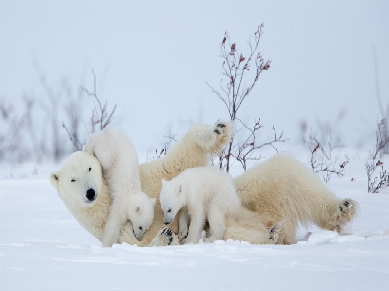 福州倾点试管国标（郑州试管可靠吗）